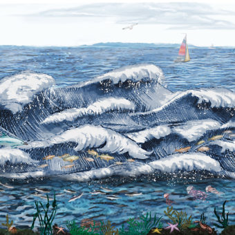 murals child playroom walls sea landscape mermaid marine animals 6